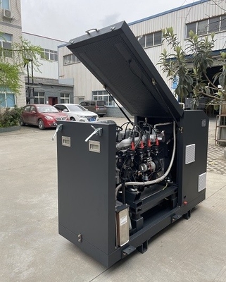 Giá tốt Hệ thống tổ máy phát điện đồng phát khí sinh học vi mô được phê duyệt CE hiệu suất cao 16kw 20kva trực tuyến