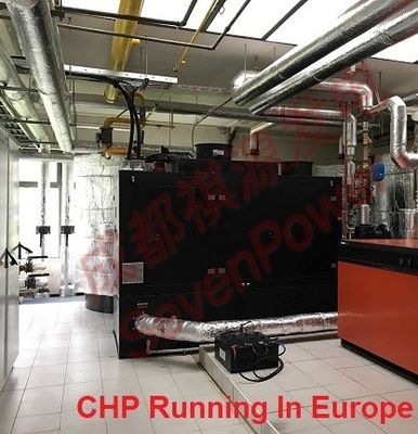 Giá tốt Continuous 50Hz 100KW Natural Gas Generator trực tuyến